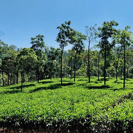 Cassells Jungle Resorts Thekkady Vandiperiyār Esterno foto