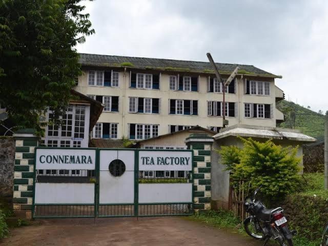 Cassells Jungle Resorts Thekkady Vandiperiyār Esterno foto