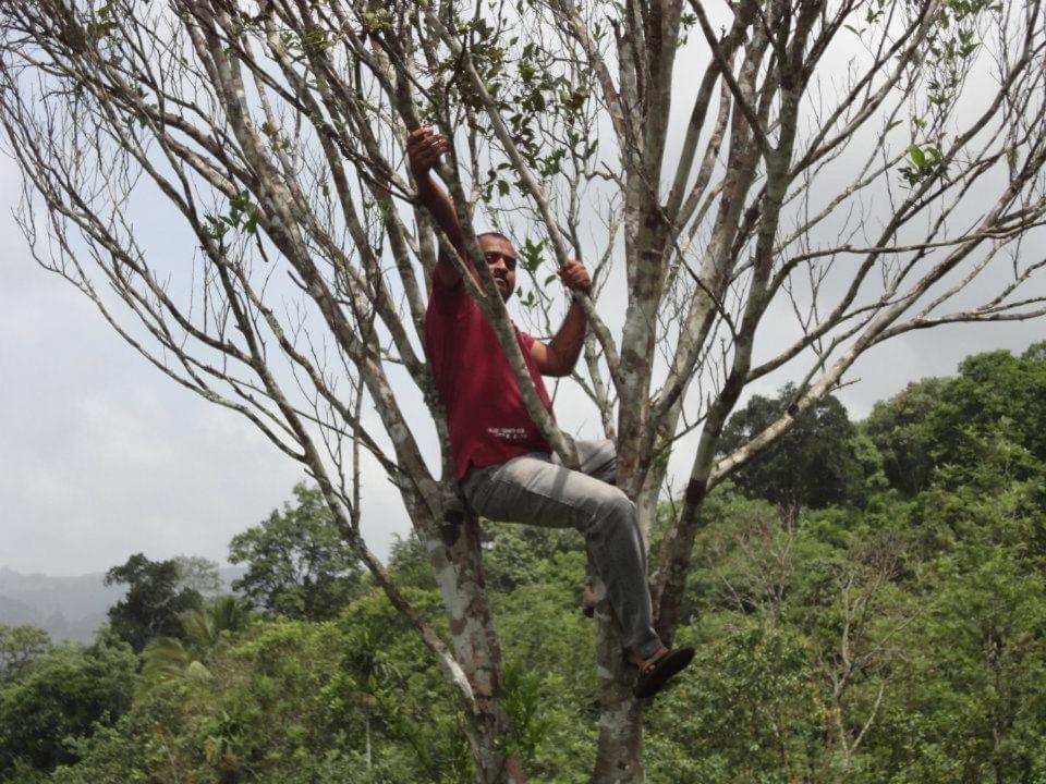Cassells Jungle Resorts Thekkady Vandiperiyār Esterno foto