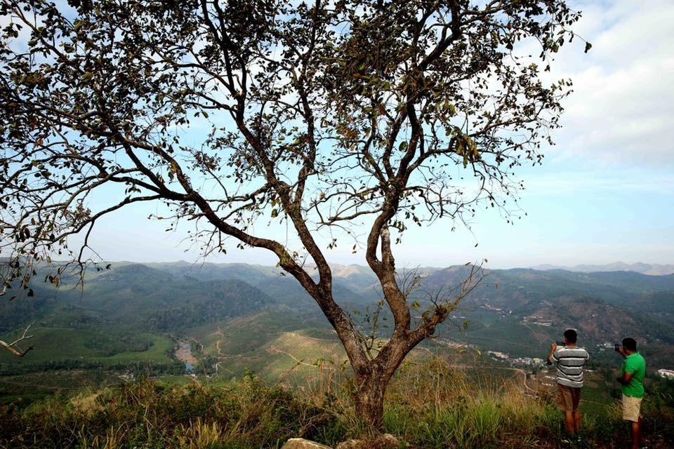 Cassells Jungle Resorts Thekkady Vandiperiyār Esterno foto
