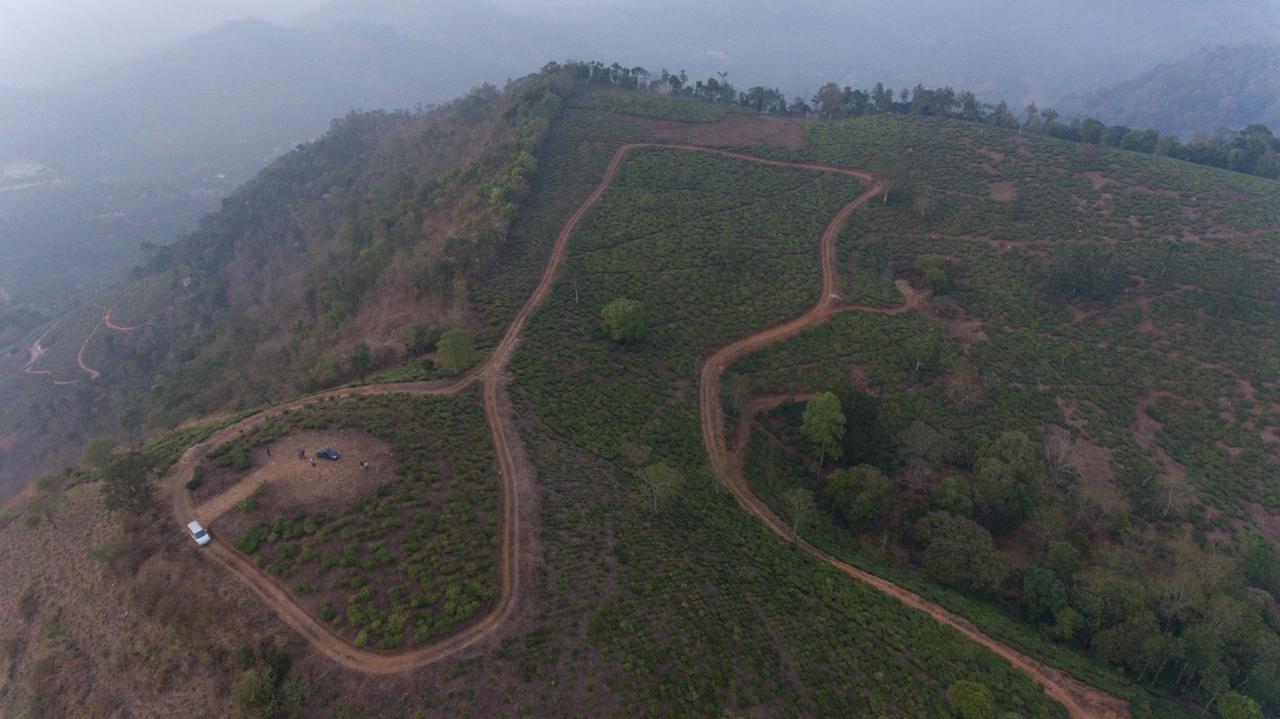 Cassells Jungle Resorts Thekkady Vandiperiyār Esterno foto