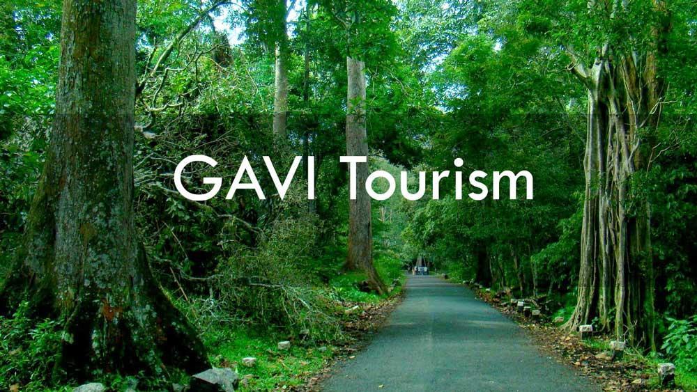 Cassells Jungle Resorts Thekkady Vandiperiyār Esterno foto